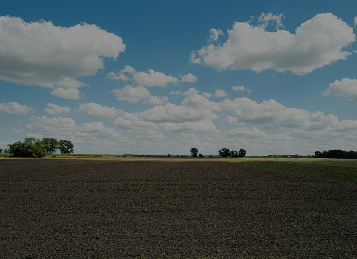 ploughed field landscape view