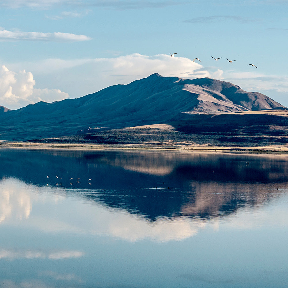 Mountain landscape with clear lake and birds, symbolizing supplements health and wellness